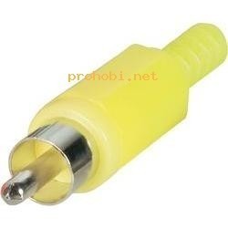 Chinch MOŠKI - rumen