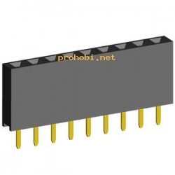 PIN letvica ŽENSKA 1x20...